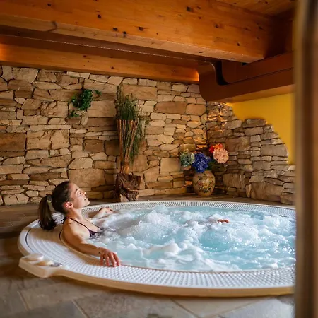 Des Alpes Otel 3*